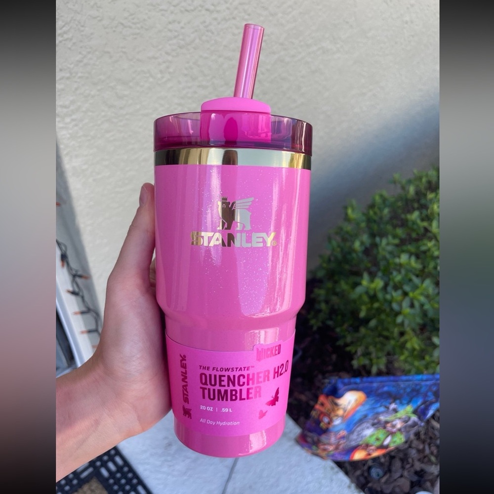 Wicked Stanley 20oz